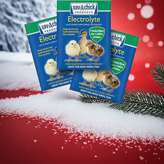 Sav-A-Chick Electrolyte and Vitamin Packages - Helps bird stay hydrated - Avian Support Supplement - Glamorous Gouldians