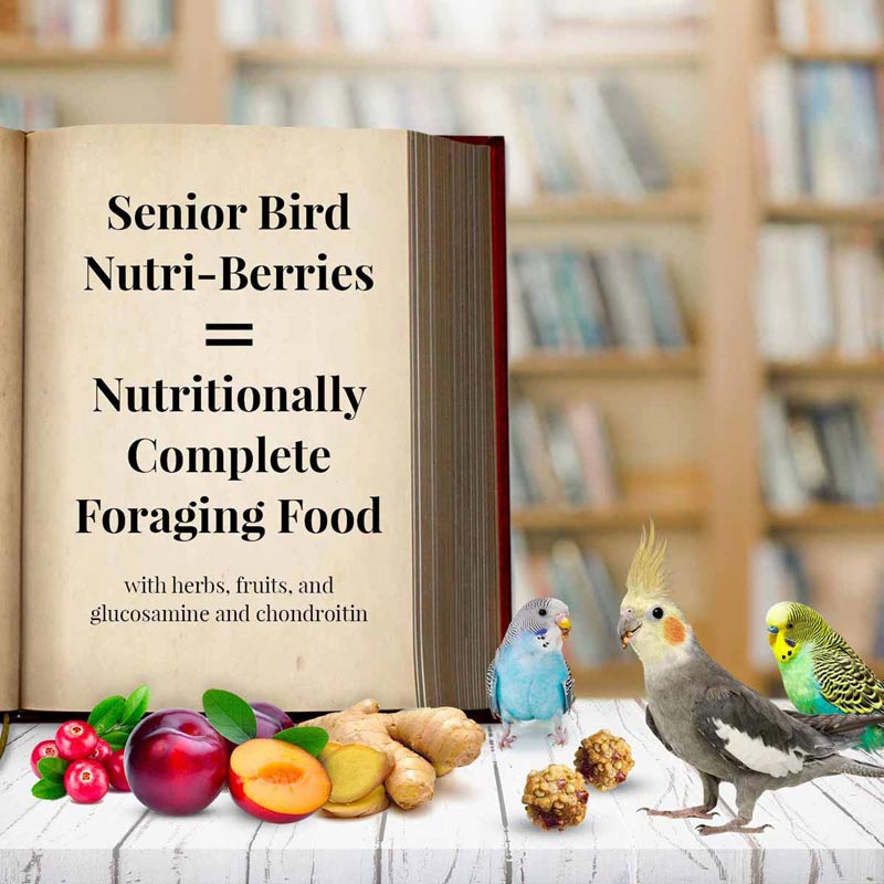 Lafeber Senior Bird Nutri-Berries, especially formulated for elderly parakeets or cockatiels - Glamorous Gouldians