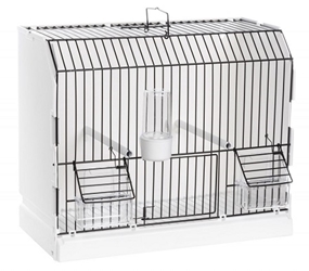 2gr art315 fn3 - Black metal front white plastic show cage - Canary Supplies - Glamorous Gouldians