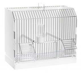 Show Cage - Silver Front
