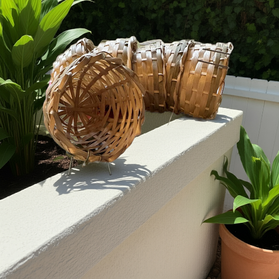 Small Chinese Import Bamboo Canary Nest - Canary Nests - Canary Breeding Supplies