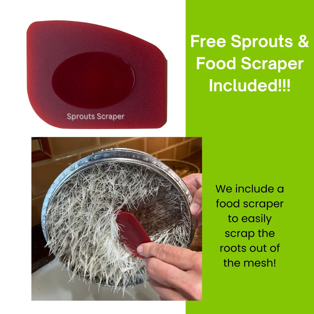 ZestiGreens Stainless Steel three-tier sprouting kit!  Free Sprouts and a Food Scraper included