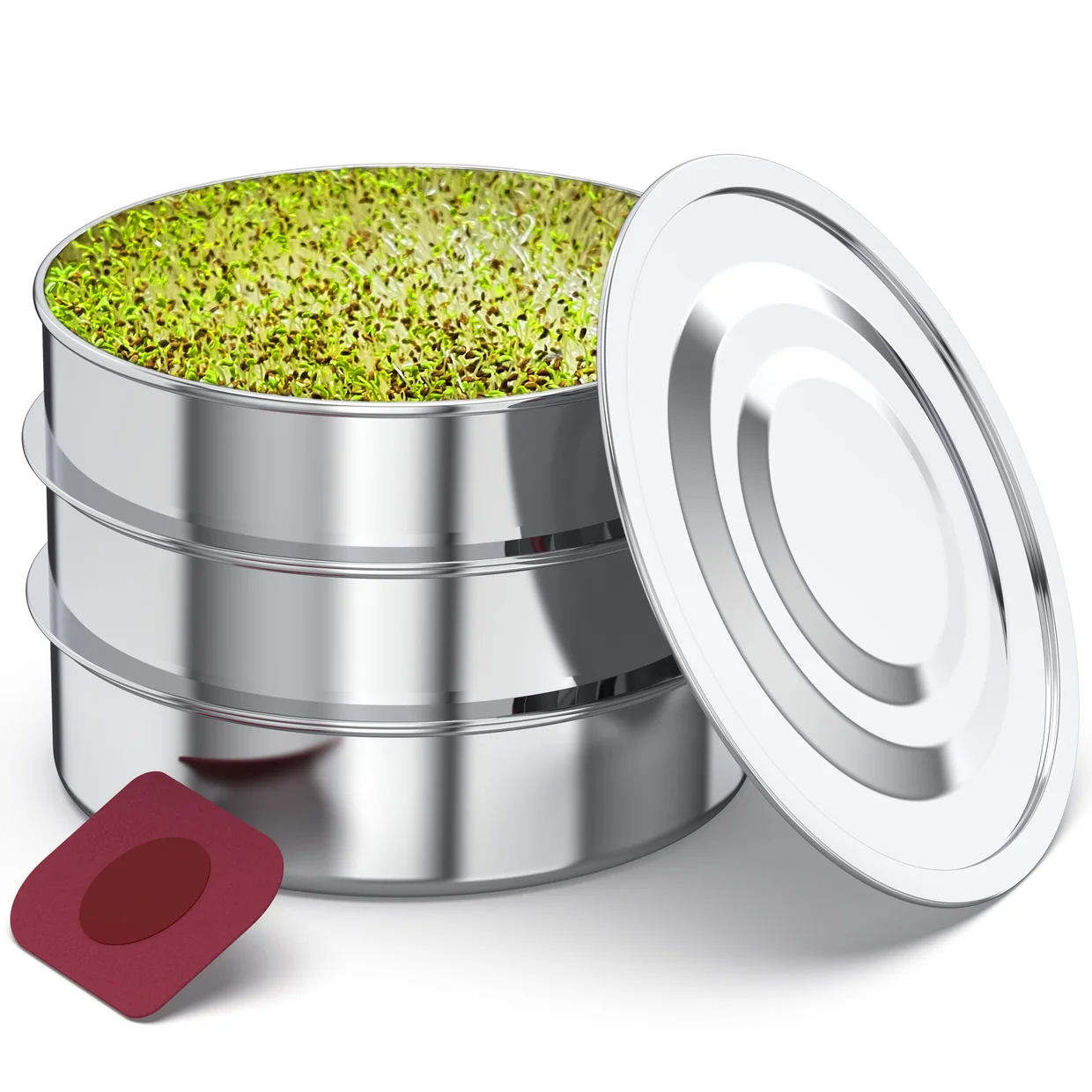 ZestiGreens Stainless Steel three-tier sprouting kit!  Free Sprouts and a Food Scraper included