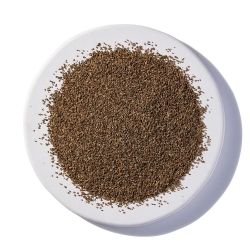 Certified Organic Celery Seed-Lady Gouldian Finch Supplies USA-Glamorous Gouldians