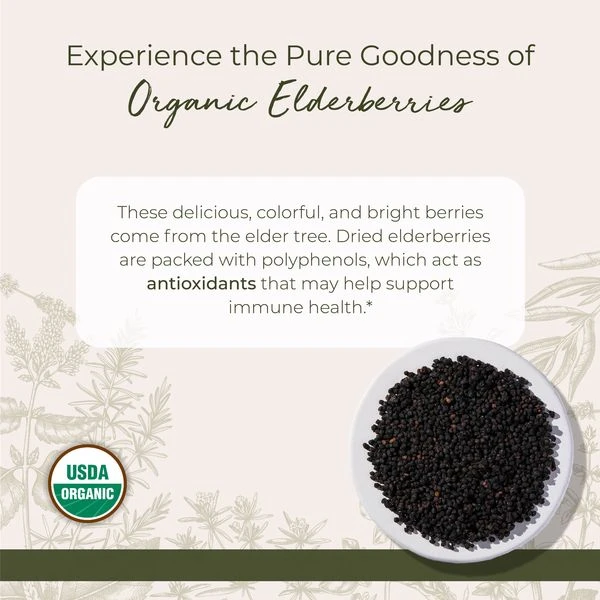 Organic Elderberries - Organic Herbs for Birds - Lady Gouldian Finch Supplies USA - Glamorous Gouldians