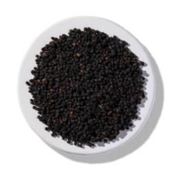 Organic Elderberries - Organic Herbs for Birds - Lady Gouldian Finch Supplies USA - Glamorous Gouldians