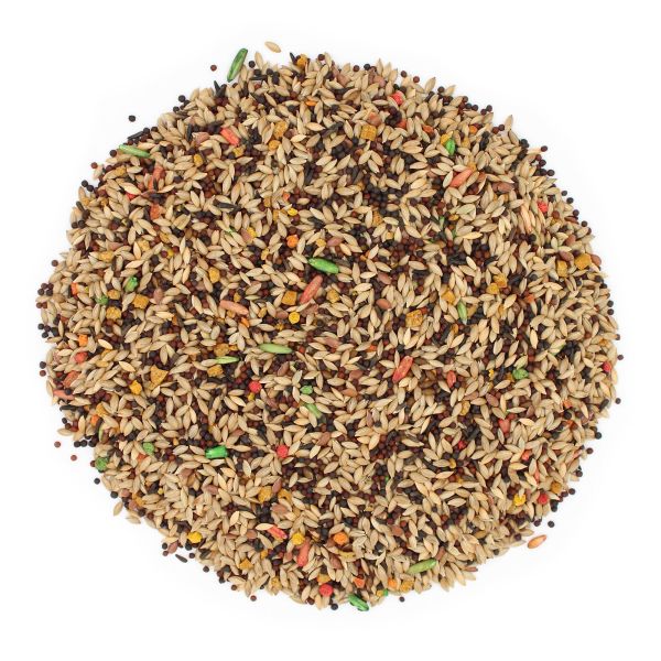 Sunseed Vita Canary - Fortified Diet for Canaries - Bird Food - Canary Supplies - Glamorous Gouldians