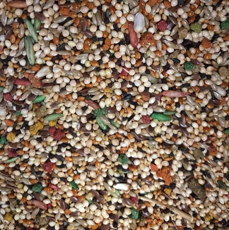 Sunseed Vita Finch Seed Mix - Finch Food - Seed -  Close Up Picture - Glamorous Gouldians