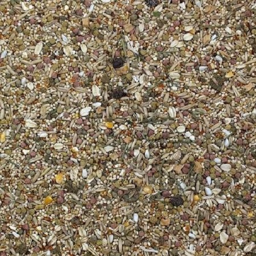 Sunseed Vita Prima Parakeet-Fortified Seed Mix-Closeup-Lady Gouldian Finch Supplies-Glamorous Gouldians