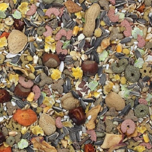 Sunseed Vita Prima Parrot-Fortified Seed Mix-Closeup- Lady Gouldian Finch Supplies-Glamorous Gouldians