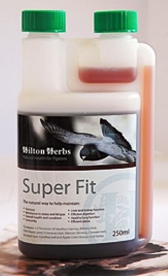 Super Fit Hilton Herbs, Super Fit, natural supplement for birds, avian supplements, help bird recover, natural remedy, bird supplies