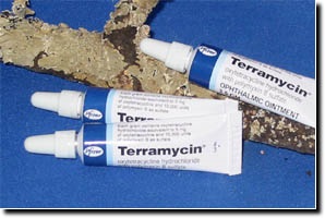 Terramycin Eye Ointment - terramycin-eye-ointment