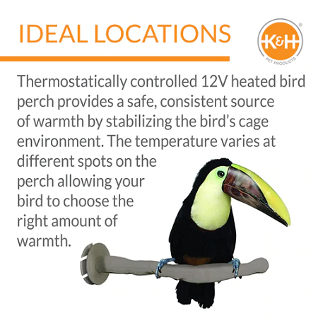K&H Thermo Perch - Heated Perch-Bird Cage Accessory-Bird Heater-Glamorous Gouldians