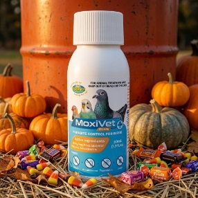 Vetafarm Moxivet Plus - Air Sac and Scaly Mite Treatment - In drinking water - Parasitic - Avian Medications