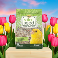 Higgins Vita Canary - Fortified Seed Mix - An eye catching, premium mix that will attract even the finickiest of eaters.