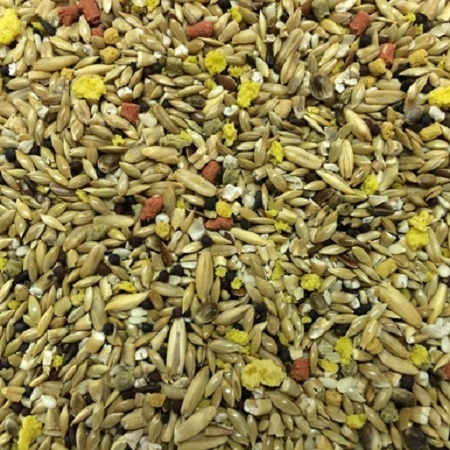 Higgins Vita Canary-Fortified Seed Mix-An eye catching, premium mix that will attract even the finickiest of eaters.