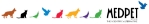 Gouldian Finch Medications - Bird Medicines for Quarantine and Illness - Lady Gouldian Finch Supplies USA - Glamorous Gouldians
