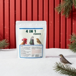 Generic 4 in 1 Powder - Avian Medication - Parasitic - Lady Gouldian Finch Supplies USA - Glamorous Gouldians