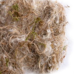 Sisalfibre AVM17-Mixed Nesting Material - Animal, Vegetable and Moss - Breeding Supplies - Glamorous Gouldians
