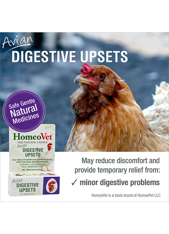 Homeopet - Avian Digestive Aid - Homeovet - Directions - Avian Medication - Natural Remedy 
