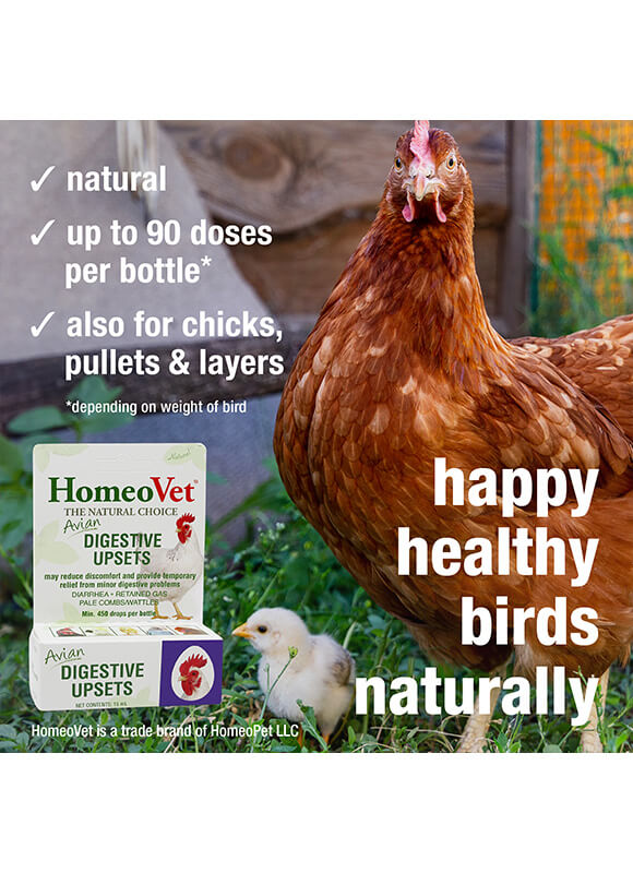 Homeopet - Avian Digestive Aid - Homeovet - Avian Medication - Natural Remedy - Glamorous Gouldians