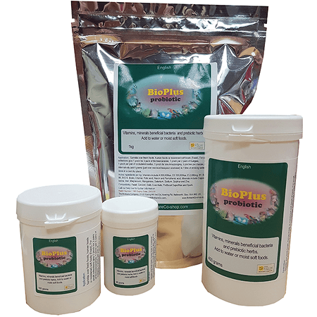 BioPlus Probiotics - Birdcare Company - Support Supplement - Avian Medication
