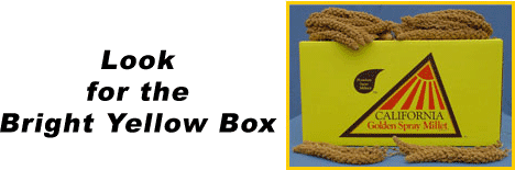 California Golden Spray Millet - 5lb box - Lady Gouldian Finch Supplies USA - Glamorous Gouldians