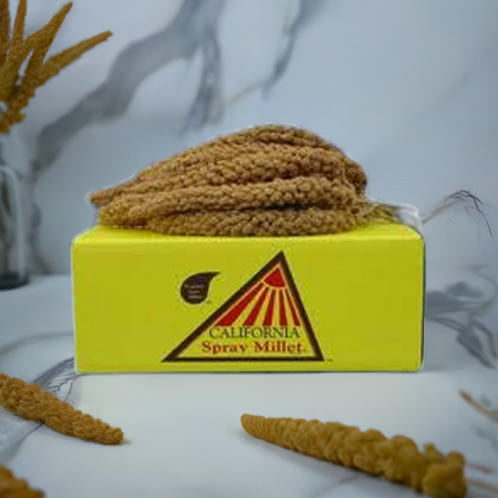 Lady Gouldian Finch California Millet - Golden Spray Millet grown in California - Lady Gouldian Finch Supplies USA