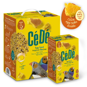 Cede Tropical Finch - 1KG - Dry egg food for Lady gouldian finches, exotic finch Food - Soft Food 