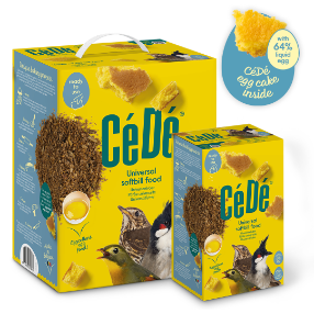 Cede Universal Softbill Food - 1KG - Lady Gouldian Finch Supplies