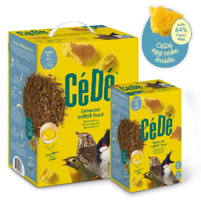 Cede Universal Softbill Food - 1KG - Lady Gouldian Finch Supplies