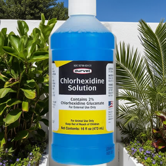 Durvet Chlorhexidine Solution - 16oz Bottle - Cleaning and Disinfecting cages, water, environment