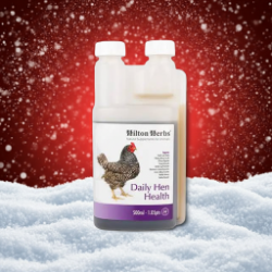 Hilton Herbs Daily Hen Health - Herbal support supplement for breeding hens - 500ml