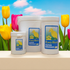 Easy Bird Super Breeder - Birdcare Co. - Breeding Supplement - Breeding Supplies
