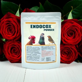 Endocox 2.5% - Generic Baycox - anticoccidial - In the drinking water - Parasitic - Avian Medication