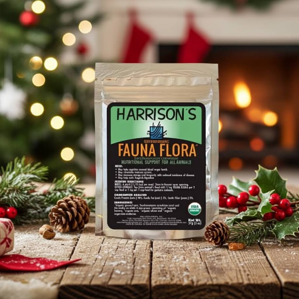 Harrison's Fauna Flora - Digestive Enzymes to help aid, helpful when handfeeding or ill birds - Glamorous Gouldians