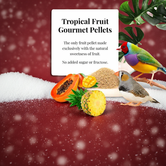 Lafeber Tropical Fruit Finch pellets - Non Gmo Food for Finches - Bird Food - Glamorous Gouldians