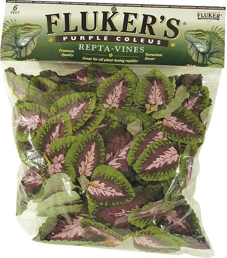 Vines for Bird Cages - Flukers Decorative Vines -PURPLE COLEUS- Bird Cage Accessory - Glamorous Gouldians