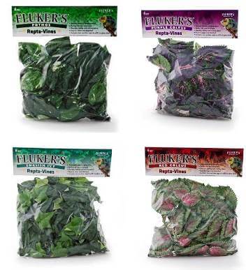 Vines for Bird Cages - Flukers Decorative Vines - Made for chewing - Bird Cage Accessory - Glamorous Gouldians
