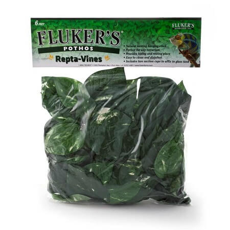 Vines for Bird Cages - Flukers Decorative Vines - POTHOS- Bird Cage Accessory - Glamorous Gouldians