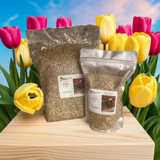 Terri's Millet Mix - great seed mix for breeding and keeping lady gouldian finches - 2 sizes - bags