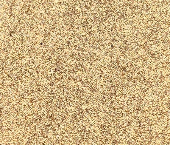 Lady Gouldian Finch Austerity Blend-Custom Seed Mix-Lady Gouldian Finch Supplies USA-Glamorous Gouldians