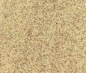 Lady Gouldian Finch Austerity Blend-Custom Seed Mix-Lady Gouldian Finch Supplies USA-Glamorous Gouldians