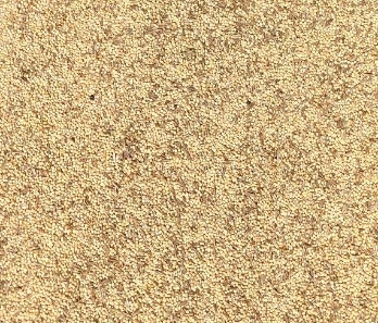 Gouldian Finch Austerity Blend - Low Fat Minimal nutrition to reset gonads before setting up to breed 