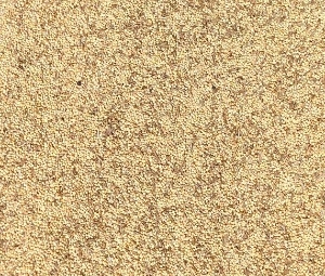 Gouldian Finch Austerity Blend - Low Fat Minimal nutrition to reset gonads before setting up to breed 