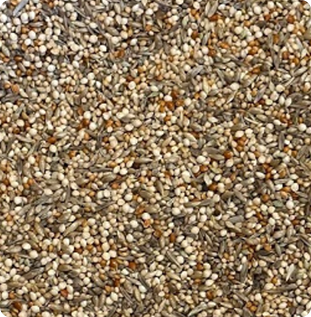 Close up photo of Finch Maintenance Mix for resting gouldian finches with grasses