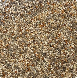 Close up photo of Finch Maintenance Mix for resting gouldian finches with grasses