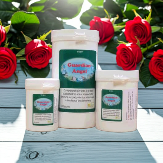 Bird Care Co Guardian Angel - Sick Bird Supplement - Avian Medication - Glamorous Gouldians