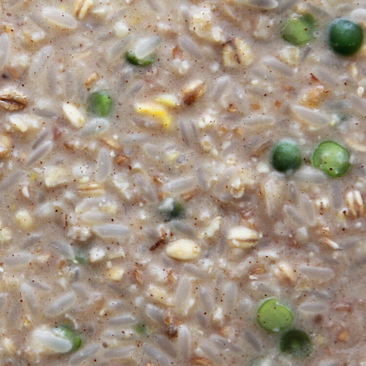 Higgins Creamy Zen - Gourmet Soft Food Treat for All Birds - Uncooked - Glamorous Gouldians