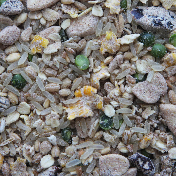 Higgins Creamy Zen - Gourmet Soft Food Treat for All Birds - Uncooked - Glamorous Gouldians